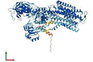 Protein Structure (PS) image for ATPase, Na+/K+ Transporting, alpha 3 Polypeptide (ATP1A3) (AA 1-1013) protein (His tag) (ABIN7564137)