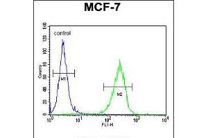 Flow cytometric analysis of MCF-7 cells (right histogram) compared to a negative control cell (left histogram). (CO027 (AA 503-531), (C-Term) Antikörper)