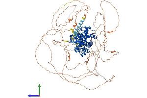 Protein Structure (PS) image for Nuclear Receptor Subfamily 3, Group C, Member 2 (NR3C2) (AA 1-984) protein (His tag) (ABIN7554528)