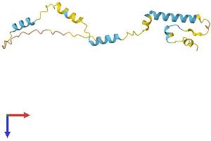 DPPA3 Protein (AA 1-150) (His tag)