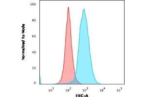 Flow Cytometric Analysis of paraformaldehyde-fixed MOLT4 cells. (CD22 Antikörper  (AA 52-178))