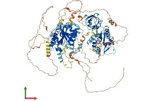 Protein Structure (PS) image for PITPNM Family Member 3 (PITPNM3) (AA 1-974) protein (His tag) (ABIN7555002)