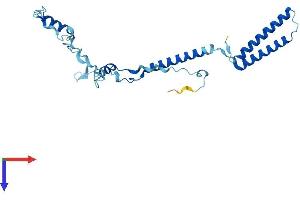 ENKUR Protein (AA 1-255) (His tag)