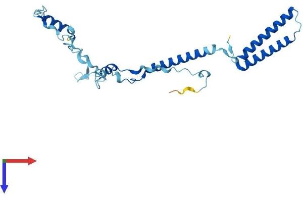 ENKUR Protein (AA 1-255) (His tag)