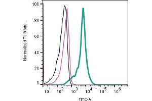 Cell surface detection of CD63 by indirect flow cytometry in  derived exosomes:Exosomes only. (CD63 Antikörper  (Extracellular))