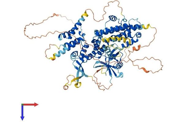 RGL1 Protein (AA 1-768) (His tag)