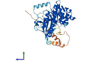 Protein Structure (PS) image for Phosphatidylinositol-4-Phosphate 5-Kinase-Like 1 (PIP5KL1) (AA 1-395) protein (His tag) (ABIN7558113)