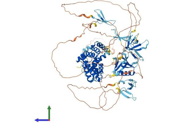 ARHGAP27 Protein (AA 1-889) (His tag)