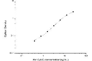Cytochrome C, Somatic (CYCS) ELISA Kit