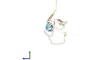Protein Structure (PS) image for Splicing Factor, Arginine/Serine Rich 7 (SFRS7) (AA 1-267) protein (His tag) (ABIN7558733)