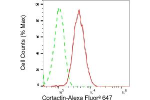 Flow cytometric analysis of Cortactin expression in H9c2 cells using Cortactin antibody (ABIN7798158), 1:2,000). (Rekombinanter Cortactin Antikörper)