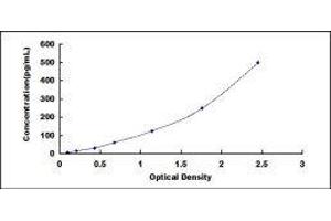 ELISA image for Growth Differentiation Factor 2 (GDF2) ELISA Kit (ABIN425052)