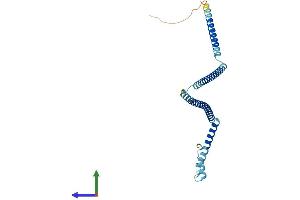Protein Structure (PS) image for Centromere Protein H (CENPH) (AA 1-241) protein (His tag) (ABIN7561799)