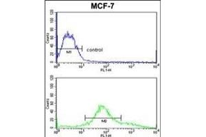 Flow Cytometry (FACS) image for anti-Zyg-11 Family Member A, Cell Cycle Regulator (ZYG11A) (AA 71-97), (N-Term) antibody (ABIN652620)
