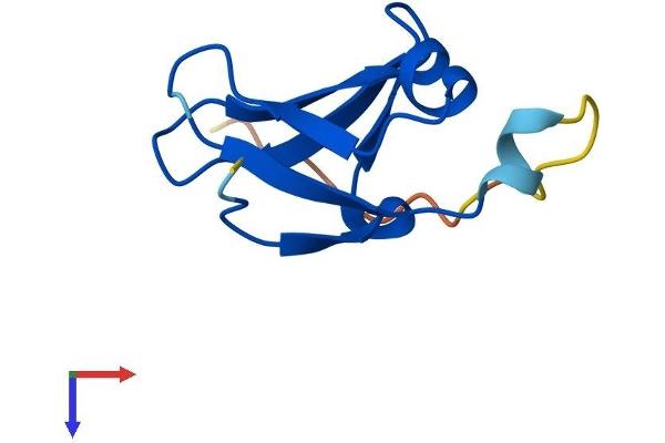 DPH3 Protein (AA 1-82) (Fc Tag)