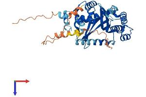 EXO5 Protein (AA 1-373) (His tag)