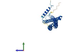 AlphaFold protein structure predicition of Human Recombinant BIN3 Protein, UniprotID Q9NQY0 (BIN3 Protein (AA 1-253) (His tag))