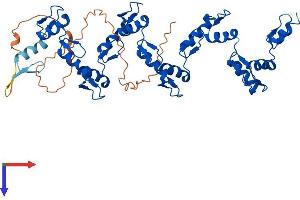 ZFP2 Protein (AA 1-461) (His tag)