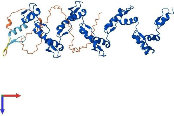 ZFP2 Protein (AA 1-461) (His tag)