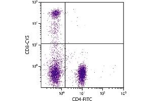 Human peripheral blood lymphocytes were stained with Mouse Anti-Human CD8-CY5. (CD8 Antikörper  (Cy5))