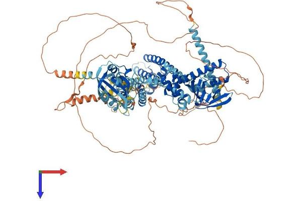 KCNH6 Protein (AA 1-994) (His tag)