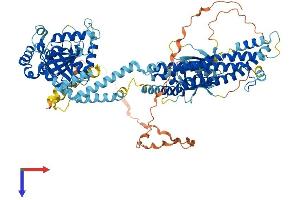 Dynamin 3 Protein (DNM3) (AA 1-863) (His tag)