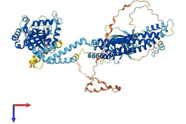 Dynamin 3 Protein (DNM3) (AA 1-863) (His tag)