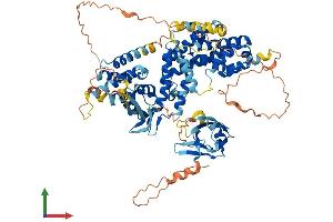 Protein Structure (PS) image for Ral Guanine Nucleotide Dissociation Stimulator-Like 1 (RGL1) (AA 1-768) protein (His tag) (ABIN7557594)