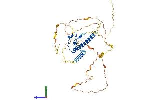 Protein Structure (PS) image for DMRT-Like Family C2 (DMRTC2) (AA 1-370) protein (His tag) (ABIN7559331)