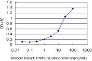 ELISA image for anti-Lymphoid Enhancer-Binding Factor 1 (LEF1) (AA 1-399) antibody (ABIN565556)