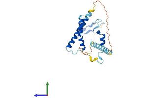 Protein Structure (PS) image for Partner of Y14 and mago (WIBG) (AA 1-203) protein (His tag) (ABIN7559338)