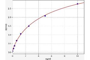 Macrophage Migration Inhibitory Factor (Glycosylation-Inhibiting Factor) (MIF) ELISA Kit