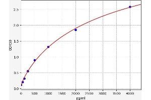 FLT4 ELISA Kit