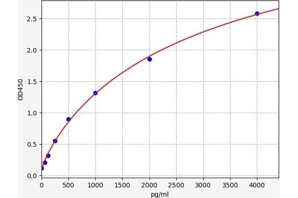 FLT4 ELISA Kit