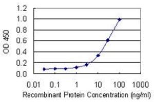 Detection limit for recombinant GST tagged ASZ1 is 0. (ASZ1 Antikörper  (AA 127-234))