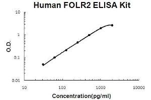 Human FOLR2 PicoKine ELISA Kit standard curve (FOLR2 ELISA Kit)