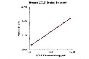 ELISA image for Low Density Lipoprotein (LDL) ELISA Kit (ABIN4993796) (LDL ELISA Kit)