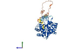 AlphaFold protein structure predicition of Human Recombinant ST8SIA3 Protein, UniprotID O43173