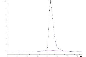 Size-exclusion chromatography-High Pressure Liquid Chromatography (SEC-HPLC) image for Fc Fragment of IgG, Low Affinity IIa, Receptor (CD32) (FCGR2A) (AA 28-208) protein (His tag) (ABIN7274277)