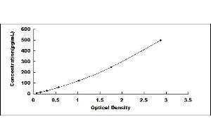 Typical standard curve (IFNB1 ELISA Kit)