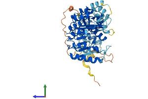 AlphaFold protein structure predicition of Human Recombinant PRAMEF1 Protein, UniprotID O95521