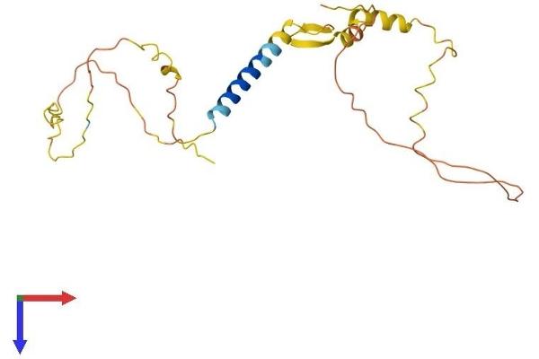 CALY Protein (AA 1-226) (His tag)