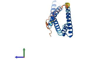Protein Structure (PS) image for Translocase of Inner Mitochondrial Membrane 17 Homolog B (TIMM17B) (AA 1-172) protein (His tag) (ABIN7556360)