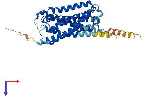 P2RY14 Protein (AA 1-338) (His tag)