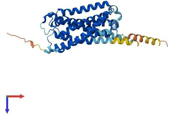 P2RY14 Protein (AA 1-338) (His tag)