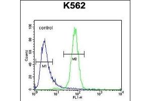 C6orf58 Antibody (Center) (ABIN653979 and ABIN2843925) flow cytometric analysis of K562 cells (right histogram) compared to a negative control cell (left histogram). (C6ORF58 Antikörper  (AA 205-233))