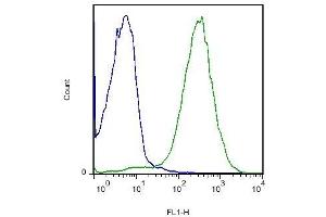 Flow Cytometry (FACS) image for anti-Roundabout, Axon Guidance Receptor, Homolog 4 (ROBO4) (AA 261-360) antibody (ABIN714866)