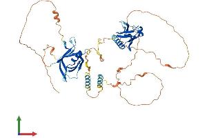 Protein Structure (PS) image for Docking Protein 3 (DOK3) (AA 1-496) protein (His tag) (ABIN7547173)