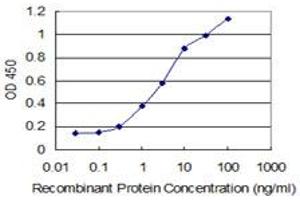 Detection limit for recombinant GST tagged SNAPC4 is 0. (SNAPC4 Antikörper  (AA 53-162))