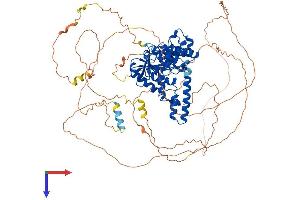Exonuclease 1 Protein (EXO1) (AA 1-846) (His tag)